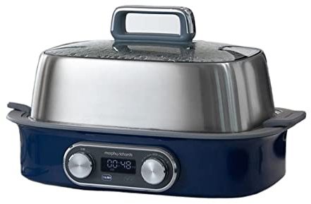 ANSNOW Ollas de Cocina Vaporera Eléctrica Olla de Acero Inoxidable para el Hogar Olla de Vapor Pequeña Jaula de Vapor de Apagado Automático Rápido
