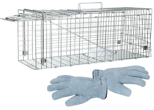 ANT MARCH Live Animal Cage Trap 24x8.5x7.5'' Steel Humane Release Rodent Cage for Stray Cat, Rabbits, Squirrel, Mole, Gopher, Chicken, Opossum, Skunk, Chipmunks, Groundhog Squire Small AnimalsStyle