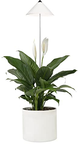 Parus by Venso SUNLiTE 7W LED Vollspektrum Pflanzenlampe Weiß, Indoor Plants Pflanzen Beleuchtung, mit ausziehbarem Teleskopstab, Parus Pflanzenlampe für kleine und mittelgroße Zimmerpflanzen