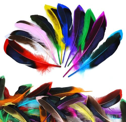 agogue 50 Stück basteln Federn zum basteln, Federn basteln Bunte federns zum basteln Ohrringe für DIY Hochzeit Traumfang Netz Kopfschmuck Federns(Zufällig gemischte Farben)