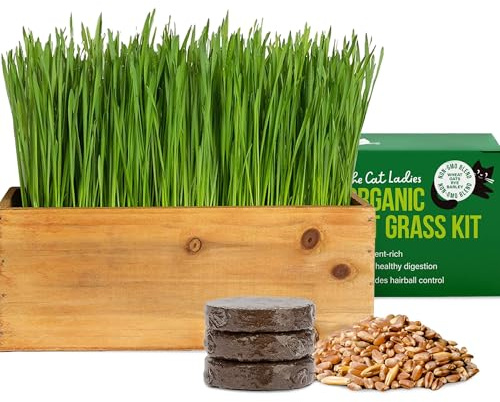 The Cat Ladies Cat Grass Kit with Rustic Wood Planter, Seed and Soil. Easy to Grow for Indoor or Outdoor Cats, Dogs and Other Pets. Prevent Hairballs and Aid Digestion