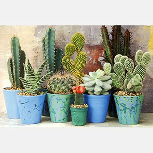 VNLMKS DIY 5D Diamant Malerei Kit, Voller Diamond Painting Anfänger Kreuzstich Kaktus Bonsai Nach Zahlen Diamant Painting Arts Craft Gemälde für Home Wanddekoration (40x50cm)