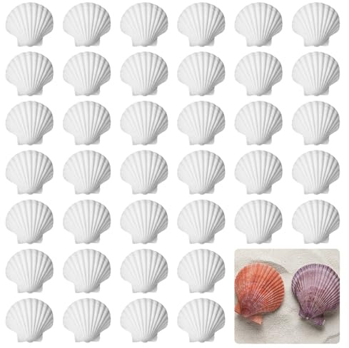 PORFOYO 50 Stück Muscheln Zum Bemalen, Natürliche Muscheln, Muscheln Deko, Deko Muscheln, Weiße Bastelmuscheln 6-8 cm für Küche Dekoration, Muscheln zum Basteln, Muschel BH, DIY Muscheln zum Bemalen
