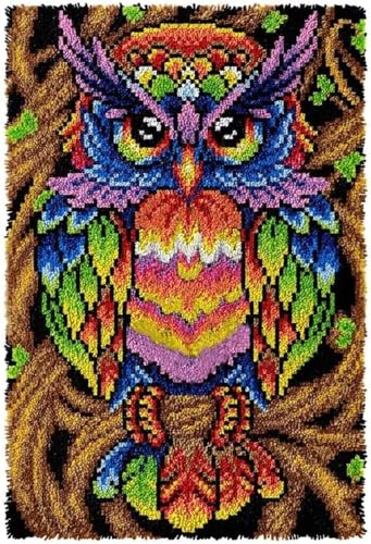 AMBATTERY Tapestry Kit Colorful owl Latch Hook Rug for DIY with Cushion Latch Sets Latch Hook Kit for Children and Adults 25x46in