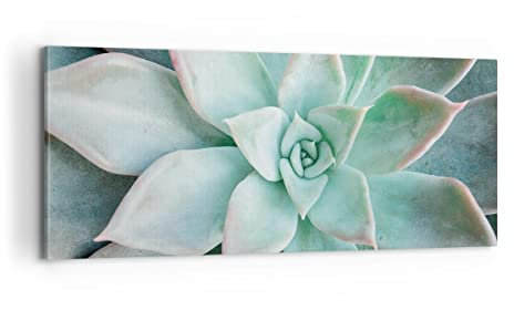 Panorama Bilder auf Leinwand 100x40cm Leinwandbild Blau Blätter Agave Groß Wanddeko Bild Schlafzimmer Küche Wandbilder Dekoration Wohnzimmer Wall Decor Canvas Wand Kunstdruck Art AB100x40-4628