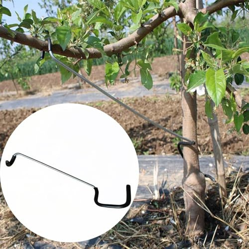 LEILINLIFE Écarteur de Branches d'Arbres Fruitiers 10PCS Écarteur de Branches d'Arbres Fruitiers Écarteurs de Branches d'Arbres Fruitiers Solution Durable pour le Support des Branches Extension des