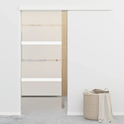 IKAYAA Puerta Corredera de Cristal Interior 76 x 205 cm para Sala de Estar, Salón, Habitación - Plateado