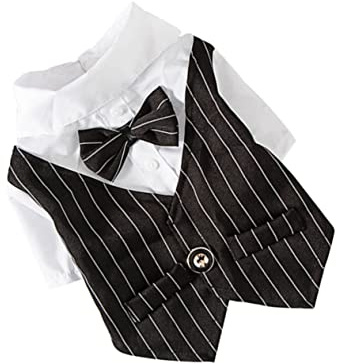 Abaodam Haustier Anzug Kleid Hundeanzug Mit Spitzenverzierung Elegant Für Hochzeit Geburtstag Fotoaufnahme Atmungsaktiv Komfortabel Schwarz Xs