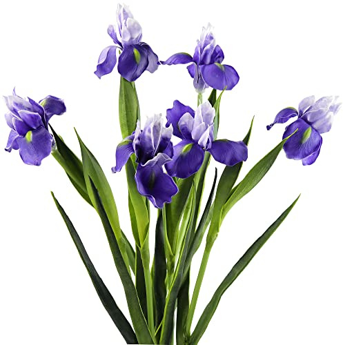 FiveSeasonStuff 6 Long Stems (Dark Purple) Real Touch Artificial Iris Flowers for Home Shop Office Restaurant Wedding Decoration Party DIY Flower Arrangement, Height: 60cm