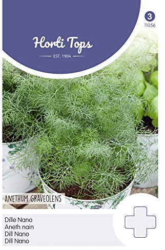 Hortitops 11056 Dill Nano (Dillsamen)