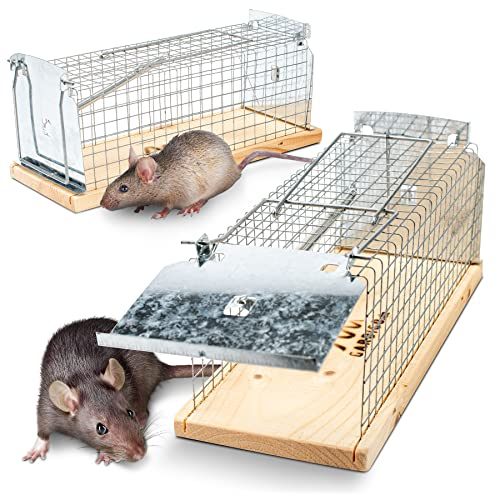 GARDIGO® Rattenfalle Lebend - 2er Set I Wiederverwendbare Lebendfalle aus Holz für Ratten I Made in Germany I Leicht zu Verwenden und Hygienisch I Käfigfalle für Innen und Außen