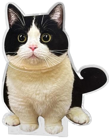 Demsyeq Katze Wackelkopf für Auto | Auto Decor Zubehör | Acryl Ornamente für Auto Armaturenbrett und Schreibtisch, Tier Schüttelkopf Auto Dekoration Zubehör