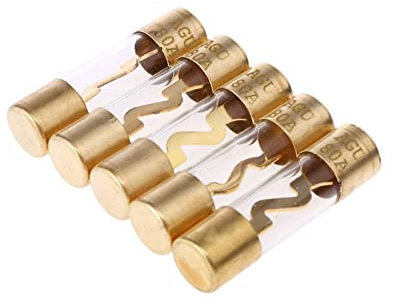 PAKMEZ 60A 80A 100A AGU-Sicherung vergoldetem Glas Sicherungen Pack Auto-Verstärker-Halter 5 STÜCKE Aug Dropship (Color : 100a)