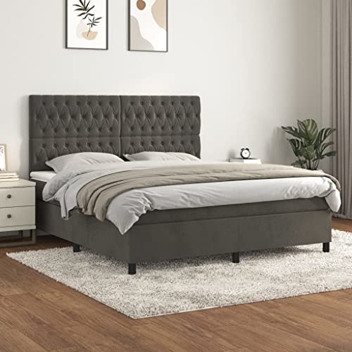 CKioict Palettenbett Modernes Bettgestell Jugendbett Boxspringbett mit Matratze Dunkelgrau 180x200 cm SamtGeeignet für Arbeitszimmer, Wohnzimmer, Hotel