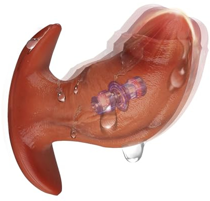 ChicLSQ Analplug Vibrator mit 10 Vibrationsmodi & Fernbedienung – Analvibrator für Männer & Frauen Prostata Stimulator Wasserdichtes Sexspielzeug mit Magnetischem USB-Laden