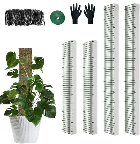 60/40/24 Metal Moss Pole, D Shape Sphagnum Moss Pole, Moss Poles for Climbing Plants, Monstera, Indoor Climbing Plants (2 Each of 40 24)