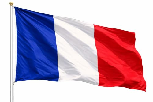 Drapeau de la France - Coupe du monde 2026 - Article pour fans - Polyester résistant et œillets métalliques - Coupe du monde (France 90 x 150 cm)