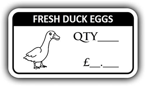 200 x FESH Duck Egg Box Labels Duck Egg Stickers