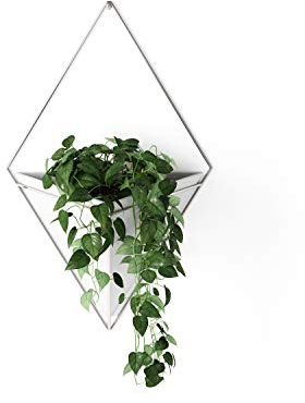 Umbra Trigg Wandvase & Geometrische Deko - Übertopf Für Zimmerpflanzen, Sukkulenten, Luftpflanzen, Kakteen, Kunstpflanzen und Mehr, Weiss/Nickel, Gross