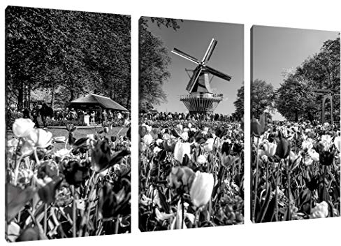 Pixxprint Holländisches Tulpenmeer vor Windmühle, Monochrome, Leinwandbild 3 Teilig, Gesamtmaß: 120x80cm, Wandbild, Dekoration, fertig gespannt, Kein Poster