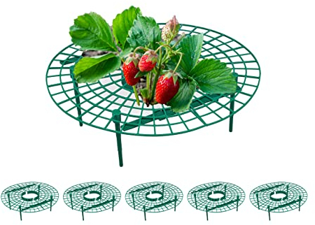 Relaxdays Erdbeerreifer, 6 Stück, Schneckenschutz Erdbeeren, Kunststoff, Erdbeergitter gegen Fäulnis & Schimmel, grün