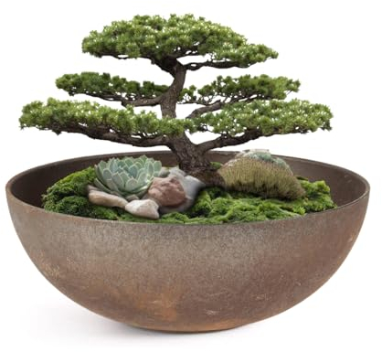 matches21 Pflanzschale für draußen - große Dekoschale in Rost-Optik rost-braun als Blumentopf Pflanztopf - hohe Schale in 30 cm für Garten, Balkon oder Friedhof als Grab-Schmuck