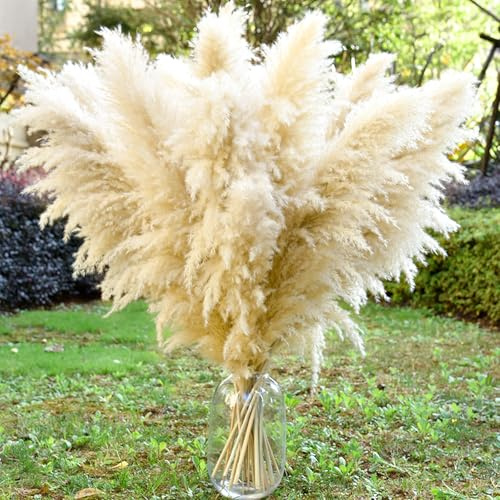 40 11 PCS Dried Pampas Grass Decor Tall,Large Natural Beige pompas Grass,Tall Pampas Grass for Floor Vase,Wedding,Party,Farmhouse,Boho Home Decor,and Creating a Bohemian Ambiance