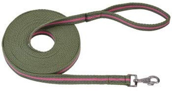 Busse