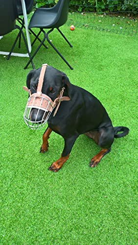L&J Pets Uk Muselière en fil métallique robuste pour doberman, malinois et autres chiens (panier argenté/cuir marron, 4D), (MK 4D, 5D)