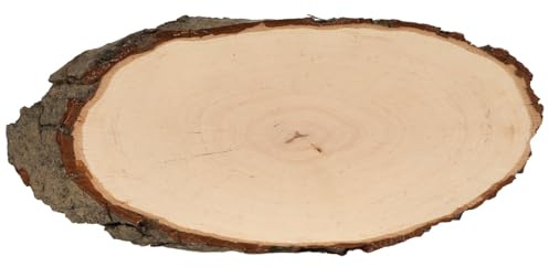 Bütic Holzscheibe Esche oval B-Ware - Rindenscheibe Baumscheibe geschliffen Holzbrett