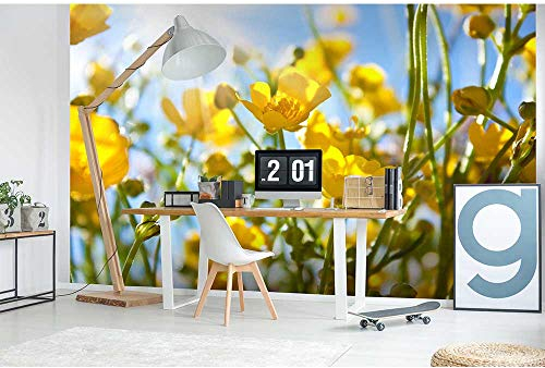 Papier peint intissé FLEURS JAUNES 375 cm x 250 cm | Tapisserie Murale XXL Poster Décoration - Salon Appartement - Photo d'art Tableaux Muraux | QUALITÉ SUPÉRIEURE - MADE IN EU - Y compris adhésif