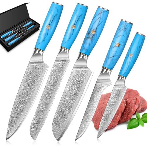 Home Safety Damastmesser Set, Damast Kochmesser Set 5STK Santokumesserset aus 67 Lagen Vg-10 Damaststahl, Profi Damast Küchemesser Ergonomischer Naturharzgriff, Geschenkbox