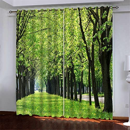 Vorhang Kinderzimmer Junge - Waldweg 150(B) X166(H) cm 3D Digitaldruck Druckmuster Öse Thermisch Isoliert 90% Für Schlafzimmer Wohnzimmer ​Kinderzimmer Junge Mit Mädchen