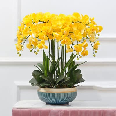 pflanzenständer, blumenstand, blumenstander Blumenregal pflanzenhocker pflanzentopf blumentopf hoch indoor holz seule Garten Blumentreppen Pflanzentreppe Ablagen deko gold metall weiß schwar