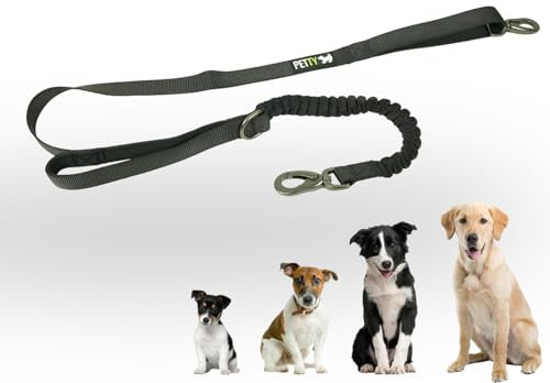 Hundeleine mit Dämpfer, Antishock und Kurzgriff - Sicherheitsgurtbefestigung - Ultraresistent - Ideal für Training (Schwarz, L)