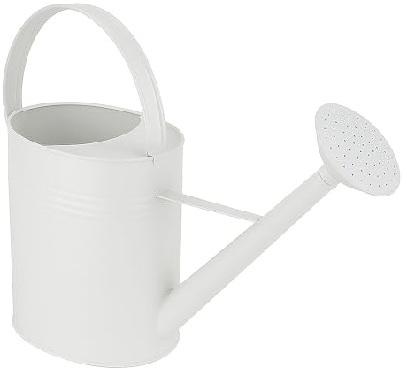 HRB Zinkkanna 10 l, vattenkanna varmförzinkad, hållbar metallvattenkanna för inomhus- och utomhusbruk vattenkanna med vattendusch, bevattningssystem (vit, 10 liter)