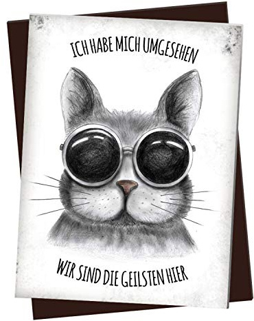 XL Kühlschrankmagnet mit Katze Motiv und Spruch: Ich Habe Mich umgesehen - wir sind die geilsten Hier