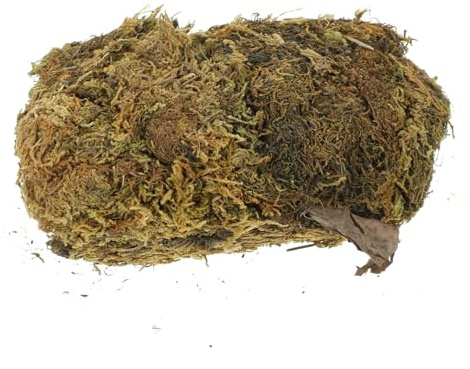 Artibetter 1bag Artificial Moss for Crafting DIY Peat Moss Vivid Fake for Potted Plants Fairy Garden Accessories