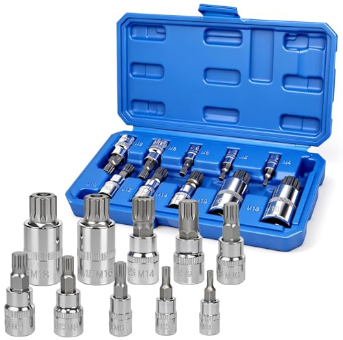 AFEPHE Juego de 10 Casquillos de Torsión Múltiples XZN 1/4, 3/8, 1/2, M4-M18 en Acero CR-V - Caja de Almacenamiento - Para Llaves de Impacto, Trinquetes y Destornilladores