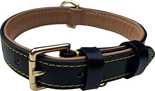 Brute Strength Hundhalsband av läder – svart med gula sömmar – M – 36–43 cm