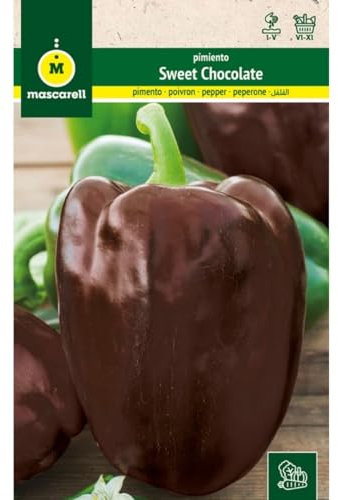 Mascarell Semillas, PIMIENTO, Semillas Huerto, PIMIENTO SWEET CHOCOLATE, Crea tu Propio Huerto Urbano y Cultivo en Casa, Plantas Hortícolas, 0,3 Gramos