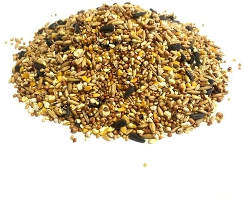 Everyday Mixture 15kg Standard Wild Bird Food Garden Seed Feed