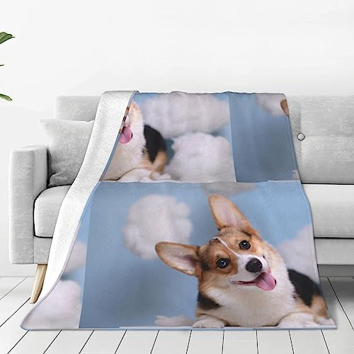 Hunde-Waschlappen-Decke, superweicher Bezug für Sofa, Bett, Reisen, Zimmer, warm, alle Jahreszeiten, 203 x 152 x 152 cm
