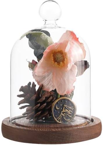 SUNNYCLUE Glaskuppel Mit Sockel 92x143 mm Cloche Ausstellungskuppel Klare Glaskuppeln Glasglocke Glasglocke Ausstellungskuppel Cloche Mini Kuppel Glasglocken Für Hochzeiten Zuhause Pflanzen Weihnachte