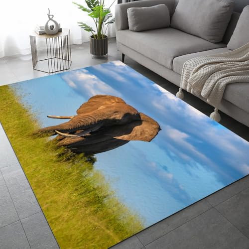 ARiXIaNg Elefant Teppich Kinderteppich Modern 3D Afrika Tiere Teppich Schlafzimmer rutschfeste FußMatte Kinder Teenager Kurzflor Teppiche FüR Flur Wohnzimmer Boden Teppich 100x150 cm