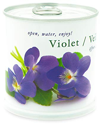 MacFlowers Veilchen - Blumen in der Dose