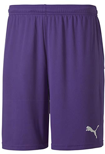 PUMA Herren, teamGOAL 23 knit Shorts