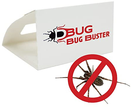 DBUG Bug Buster Sticky Spider Trap For Home - Indoor Spiders and Crawling Insect Killer Traps - Child and Pet Safe - 30 Pack