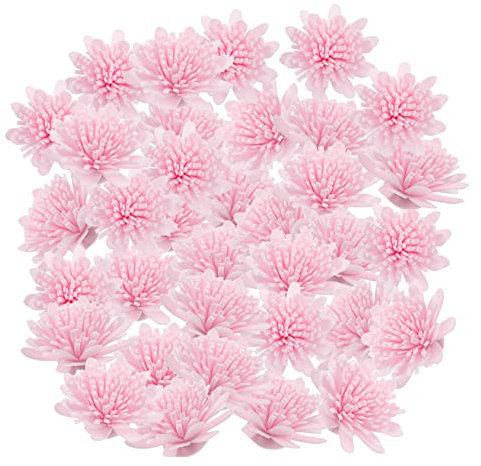 Zerodeko 100stücke Teiliges Diffuser Chrysantheme Blüten Aus Pe Aromatherapie Dekoration Für Raumduft Schnelles Aromaabsorptionsvermögen Als Diffusor Zubehör Und Geschenk