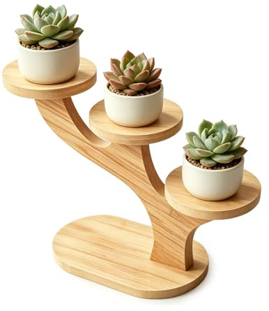 Zyrtkeriom Soporte para plantas de bambú de 2 niveles para interiores, estante de alféizar de ventana escalonado para suculentas y cactus, soporte para flores de escritorio para pequeñas manualidades